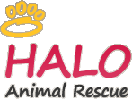 HALO Animal Rescue