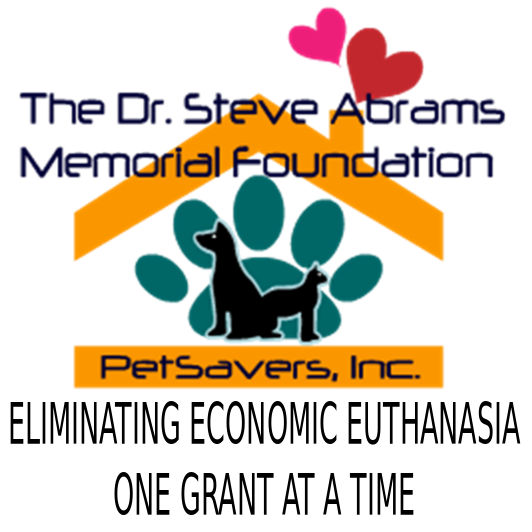 Steve Abrams Memorial Foundation