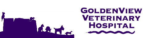 Goldenview Veterinary Hospital