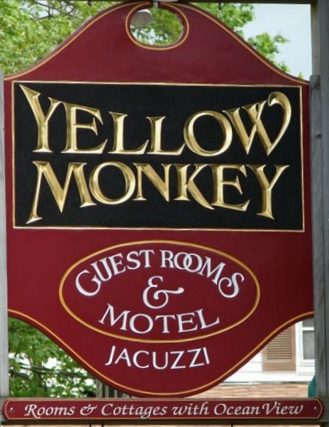 Yellow Monkey Ogunquit